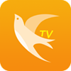 尖尾TV