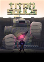 Titan Souls