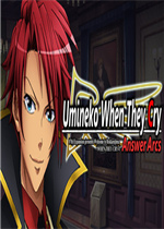 Umineko When They Cry - Answer Arcs