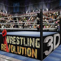 摔跤革命3D完整破解版