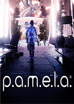 P.A.M.E.L.A.