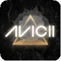 Avicii Gravity