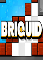 Briquid