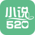 小说520破解版