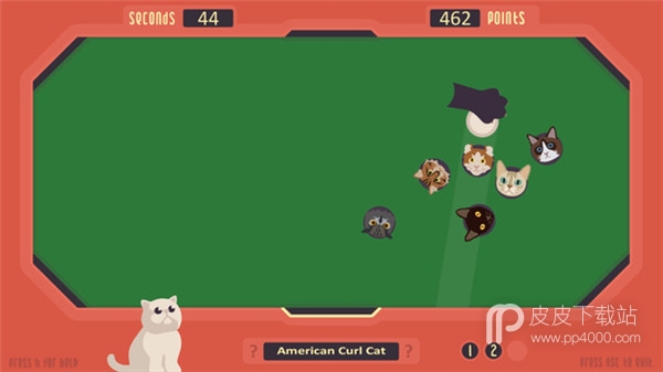 猫猫游戏正式版