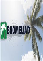 Bromeliad