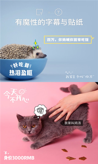 猫饼短视频免费版