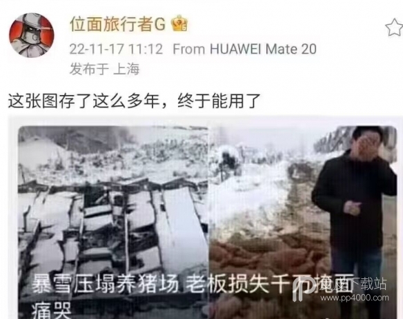 暴雪压塌养猪场表情包分享