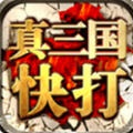 真三国快打gm版