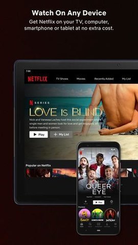 网飞netflix中文版