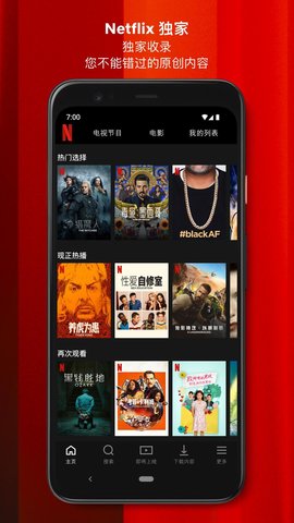 网飞netflix电视版