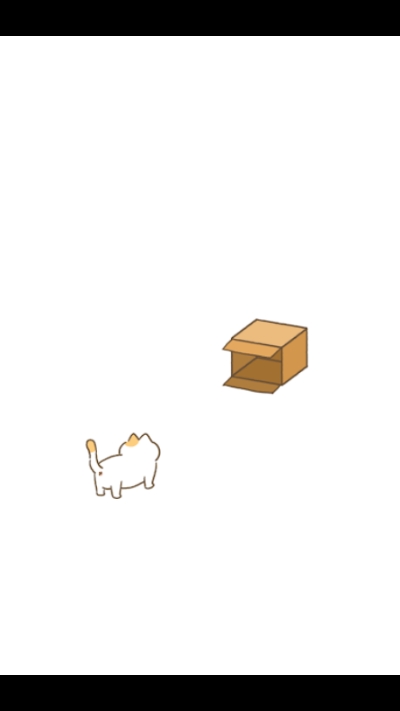 Cat Box