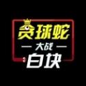 贪球蛇大战白块2024版