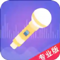 语聊音频变声器