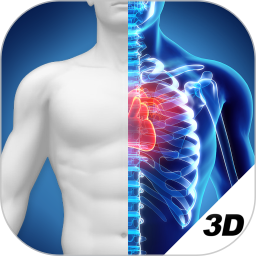 3D人体解剖图谱最新版