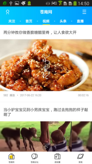 苍南网