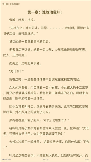 燃文小说2024版