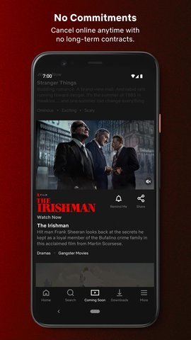 网飞netflix中文版