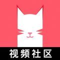 猫咪maomiav永久发布地址