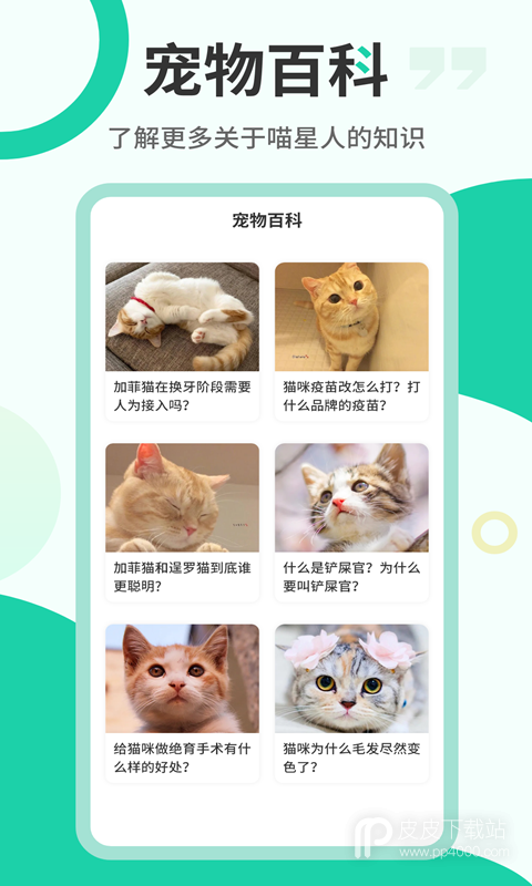 猫语翻译机2024版