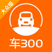 车300二手车2024版