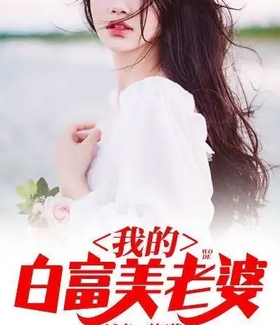 我的白富美老婆小说秦城完结版