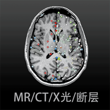 影像解剖图谱最新版