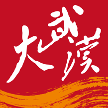 大武汉