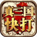 真三国快打多酷版