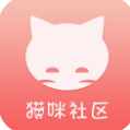 猫咪社区交友