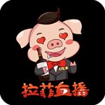 拉菲直播无限制版