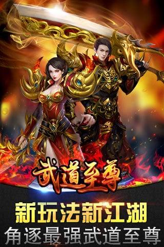 武道至尊无限金币版