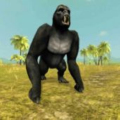 Wild Gorilla