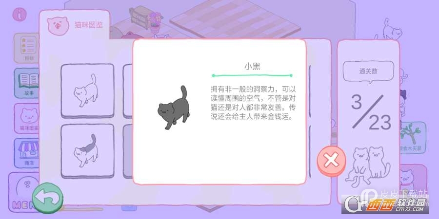 养猫猫