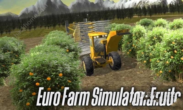 Euro Farming: Fruit