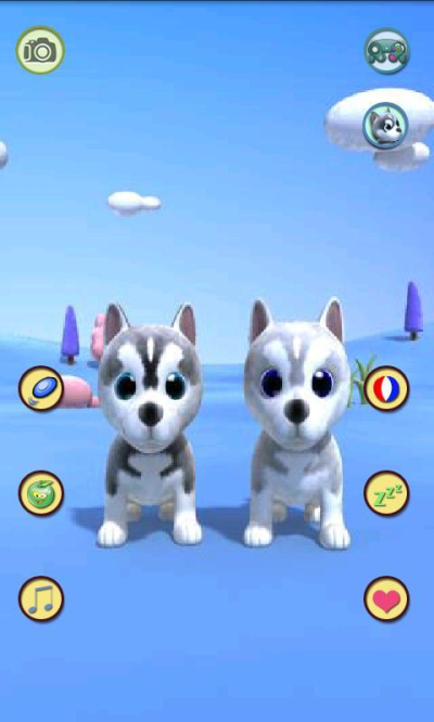 Talking Husky Dog