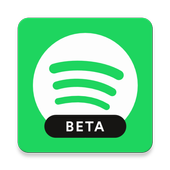 Spotify Lite