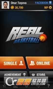 Real Basketball