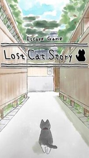 迷路的猫咪的故事