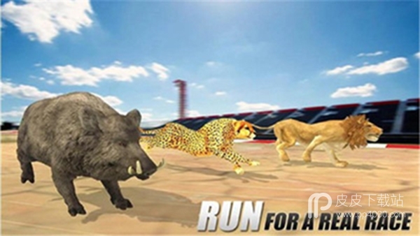 Wild Animal Racing