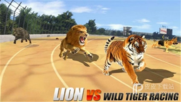 Wild Animal Racing