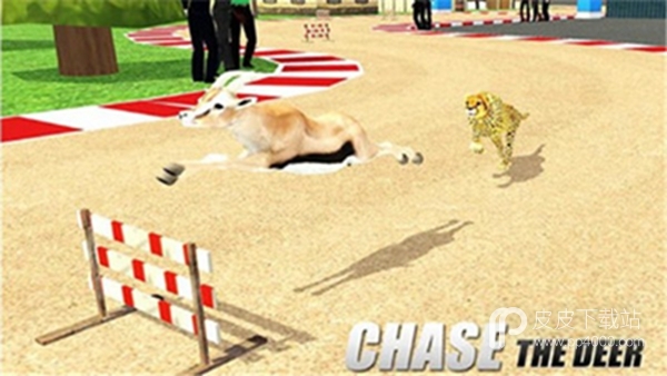 Wild Animal Racing