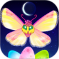 Flutter：Starlight