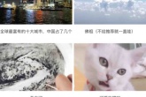 小辣椒视频APP：海量火辣的福利视频，在这里等着你的观赏！