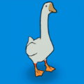 GOOSE.IO