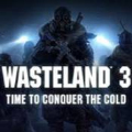 Wasteland 3